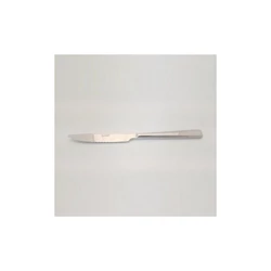 Salvinelli TIME rozsdamentes steak kés 21 cm