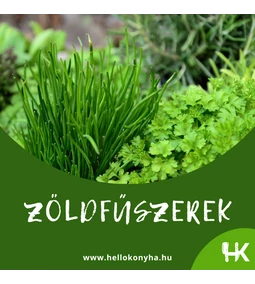 Fűszerek a konyhában: metélőhagyma, koriander, petrezselyem és a kakukkfű