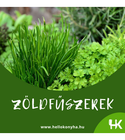 Fűszerek a konyhában: metélőhagyma, koriander, petrezselyem és a kakukkfű