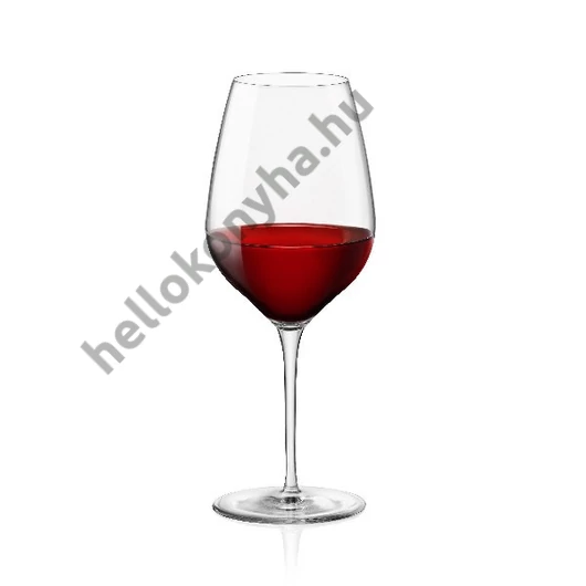 INALTO TRE SENSI talpas pohár "L" 55 cl (6 db)
