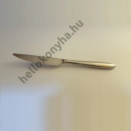 Salvinelli FAST rozsdamentes desszertkés LOSE  2,5mm