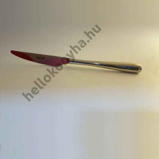 Salvinelli STYLE rozsdamentes desszertkés LOSE 2,5mm