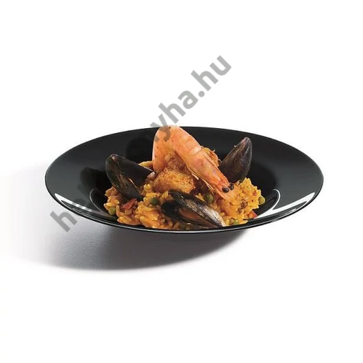 ARC EVOLUTIONS BLACK pasta tányér ø 28,5 cm 