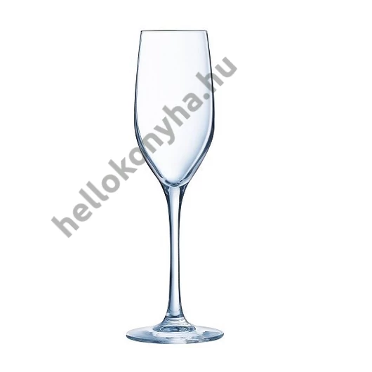 ARC C&S SEQUENCE pezsgős flőte 17 cl (6 db)