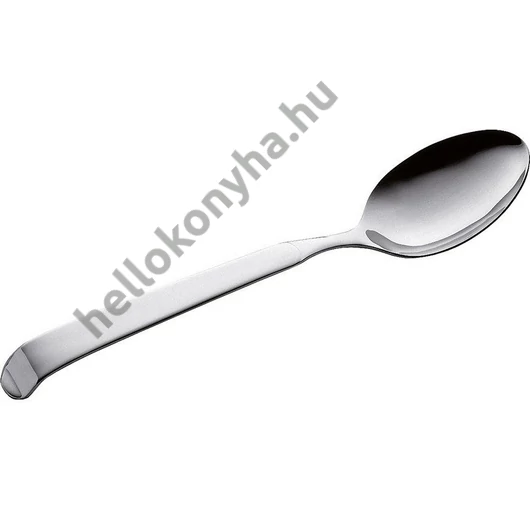 Pintinox ASTRA rozsdamentes tálalókanál 24 cm