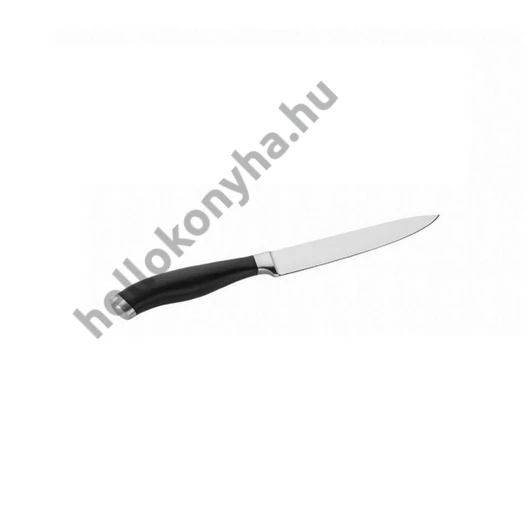 Pintinox PROFESSIONAL.rozsdamentes kés általános 12 cm 
