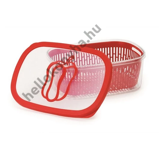 Snips AROMA doboz+kosár 28,5×20,5x11 cm 4 liter (piros)
