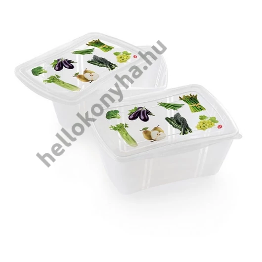 Snips FRESH PP doboz 23x27x10 cm 2 liter (2db-os)

