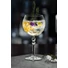 Kép 2/2 - RCR_Alkemist_Gin_tonic_a