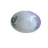 Kép 2/5 - Porcelán tál LAVENDER 22,9 cm