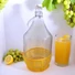 Kép 1/4 - Demizson 5L dáma fémcsatos